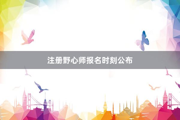 注册野心师报名时刻公布